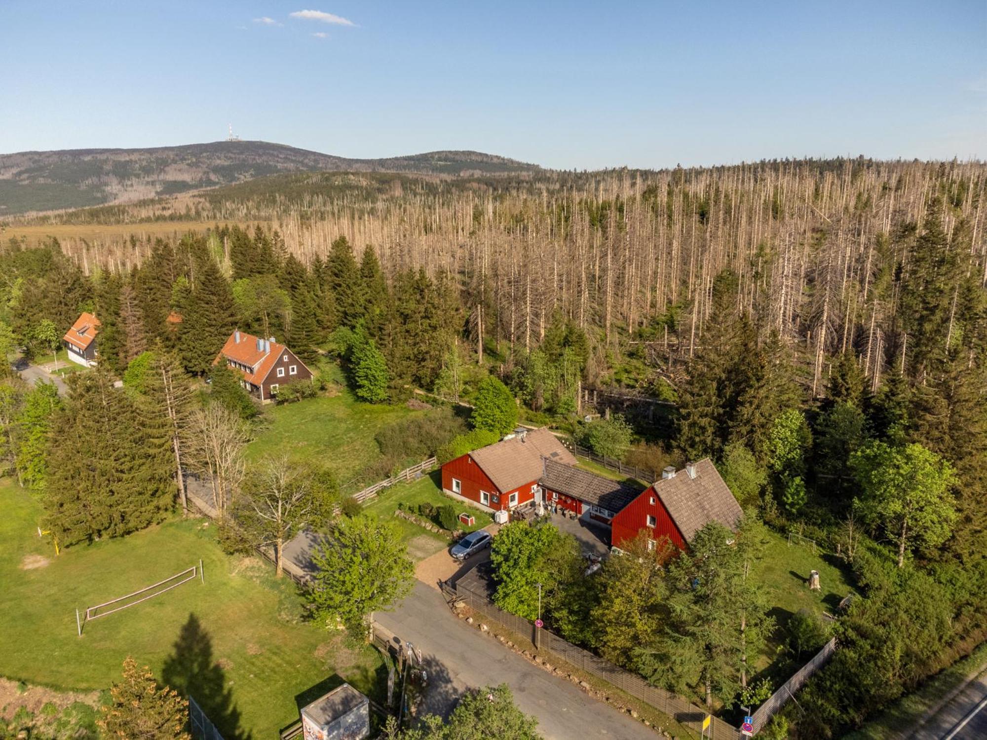 Gruppen & Familien-Ferienhaus Hansel Torfhaus Kültér fotó